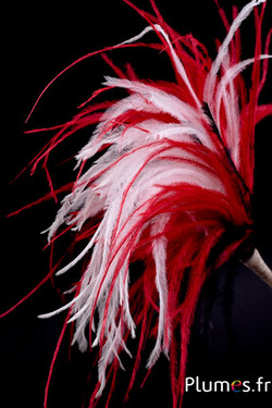Plumet autruche avec anneau - ht 18 cm - noir-blanc-rouge